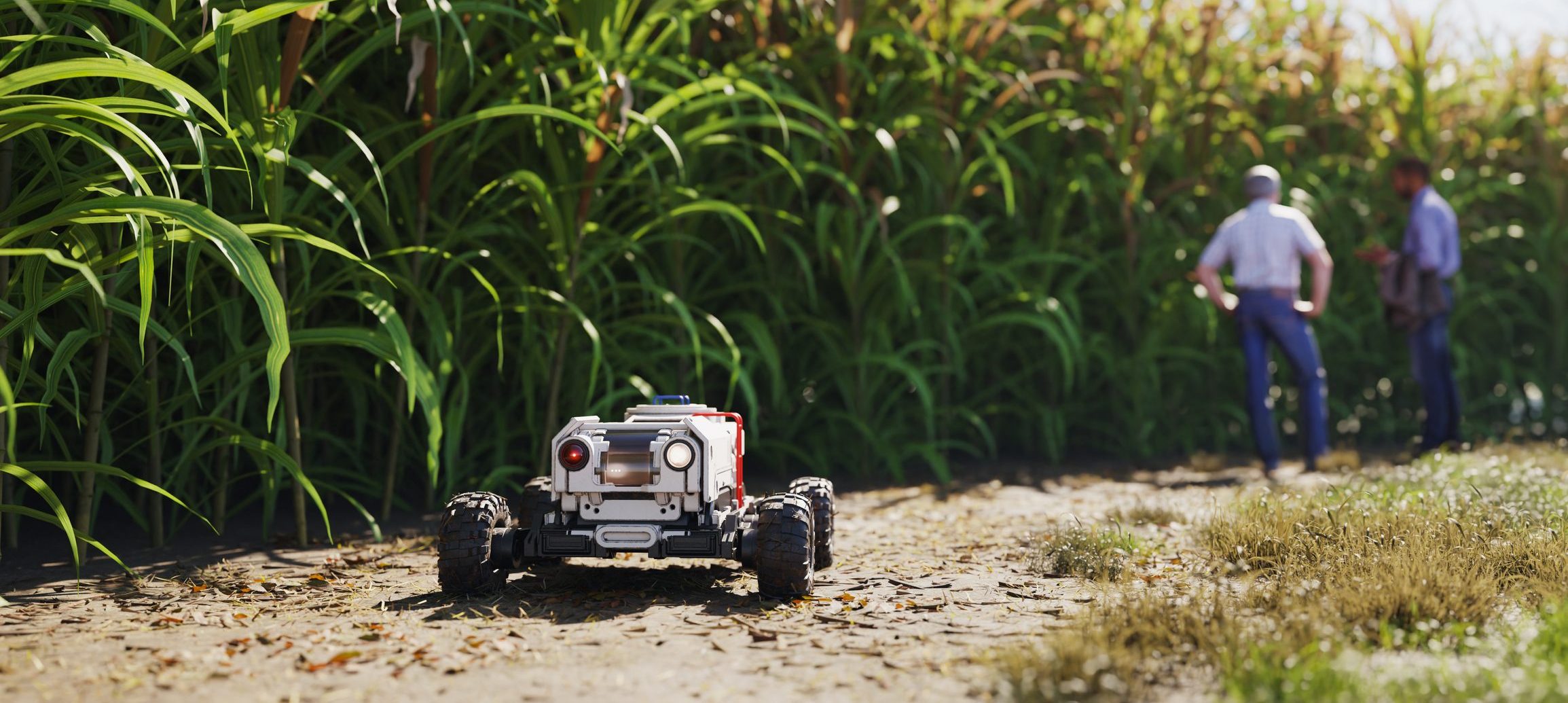 agricultural-robot-in-sugar-cane-plantation