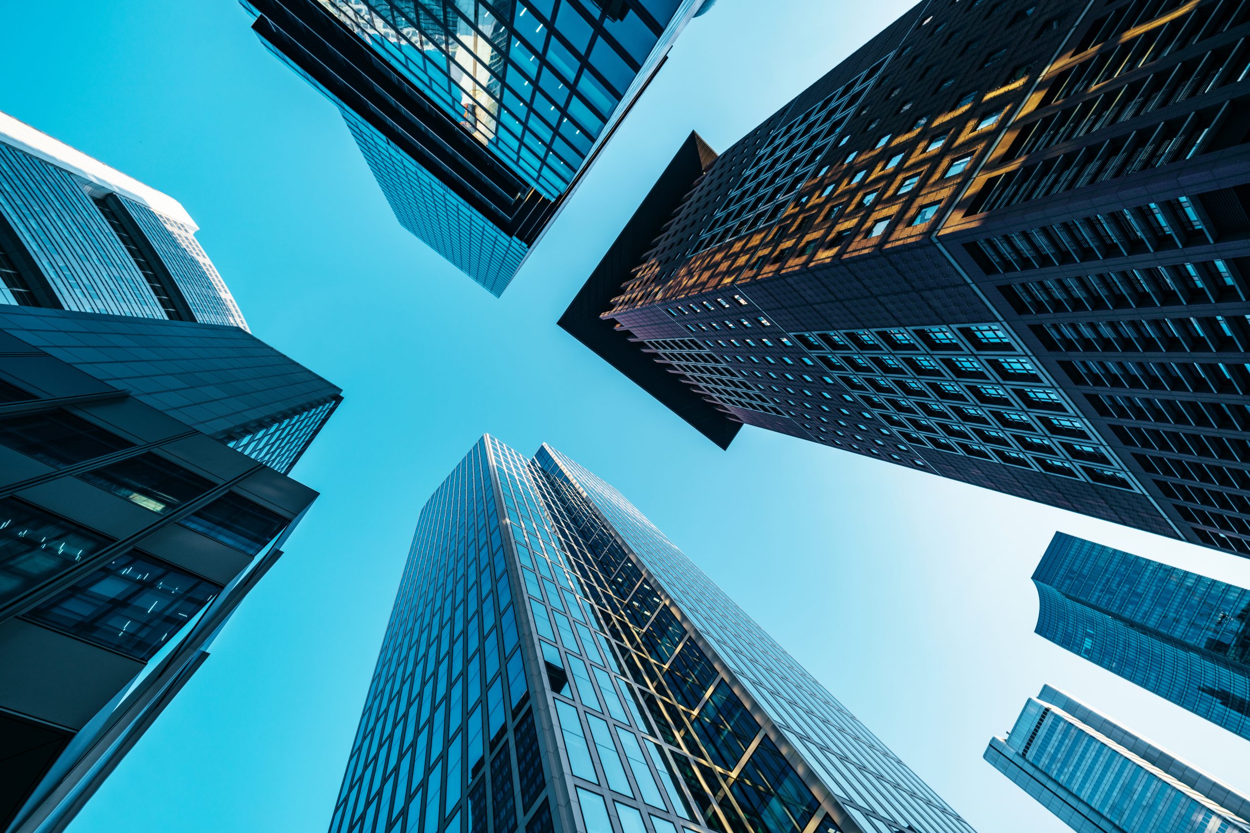 modern-bank-towers-in-frankfurt-at-late-afternoon-captured-in-wide-angle